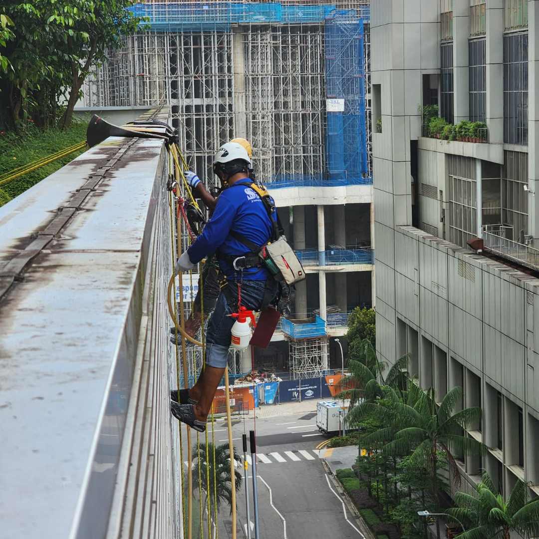 Facade Work 9